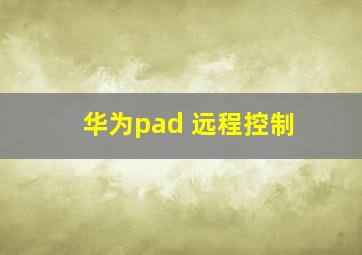 华为pad 远程控制